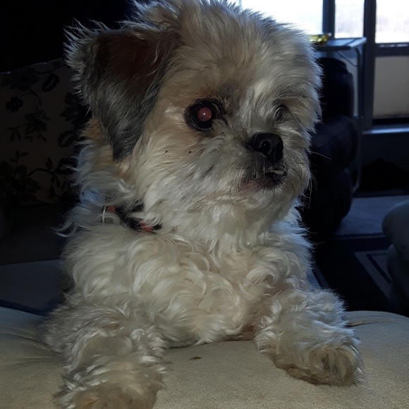 Darlene Penney - Poshmark Profile Picture of Darlene Penney (@darreid) on Poshmark