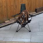 Profile Picture of Billy Bates (@billyzbullyz) on Instagram