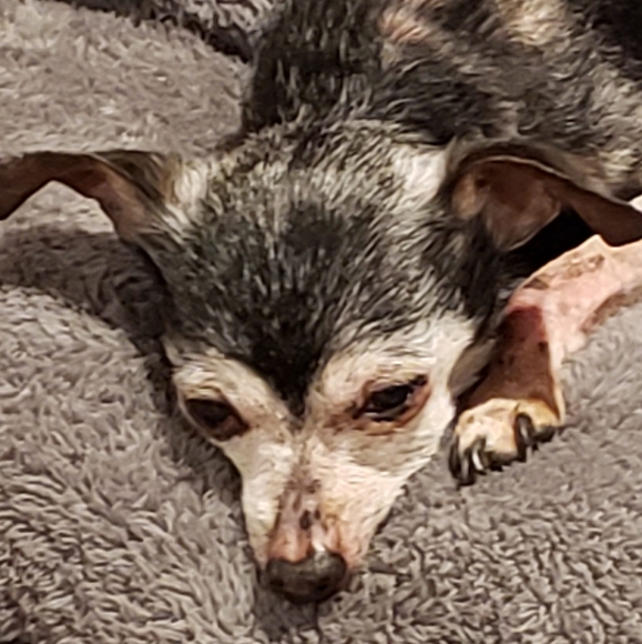 Profile Picture of Scott Leonard (@scottlee126) on Poshmark