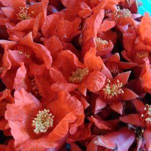 Profile Picture of Derya Sarı (@deryasari4242) on Twitter