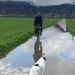 Profile Picture of David Kobel (@baum_wart) on Instagram