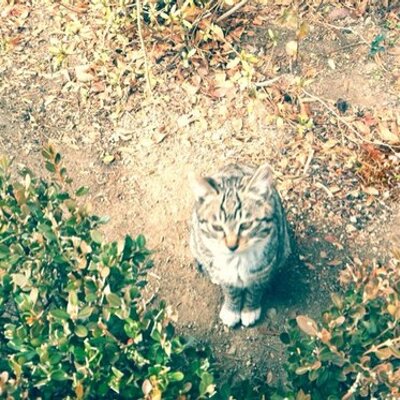 Profile Picture of Bomin Kim (@bomin2_) on Twitter