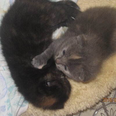 Profile Picture of Alexandra Tanner (@cccccclubsport) on Twitter