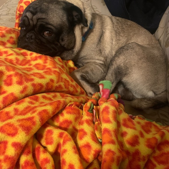 Profile Picture of Lisa Clough (@lisa_clough) on Poshmark