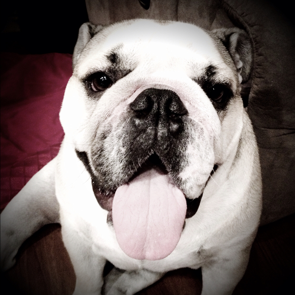 Profile Picture of Stephanie Kumamoto (@skmoto) on Poshmark