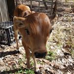 Philip Sullivan - Instagram Profile Picture of Philip Sullivan (@phil_the_sullivan) on Instagram