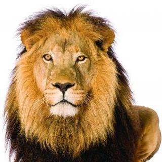 Profile Picture of Brian Holdsworth (@Brian-Holdsworth) on Facebook