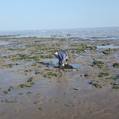 Profile Picture of Pete Thompson (@FarmerPedro) on Twitter