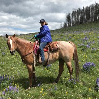 Profile Picture of Amy Hendrickson (@hendrickson7775) on Instagram