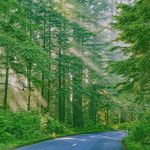 Profile Picture of Cameron Michael epley (@cameronmichaelepley) on Instagram