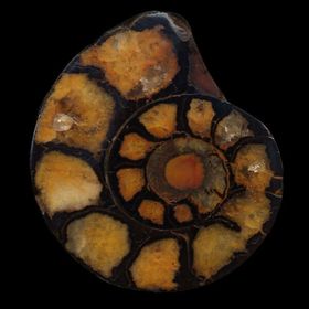 Profile Picture of Erika Houle (@ehoule2078) on Pinterest