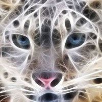 Profile Picture of Hey Max (@hey-max-2) on Quora