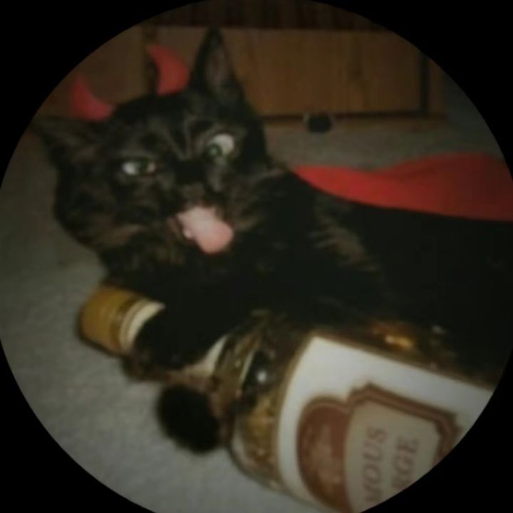 Profile Picture of Erick Alvarez (@alvar3zz_) on Tiktok