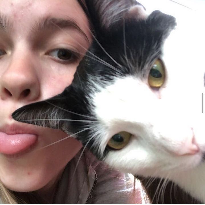 Profile Picture of allison (@allisonnickk) on Tiktok