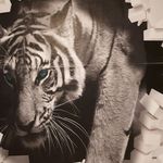 Profile Picture of Vanessa Werthmann (@vanessa.werthmann) on Instagram