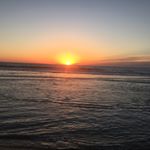 Profile Picture of Leigh Singleton (@singletonleighann) on Instagram