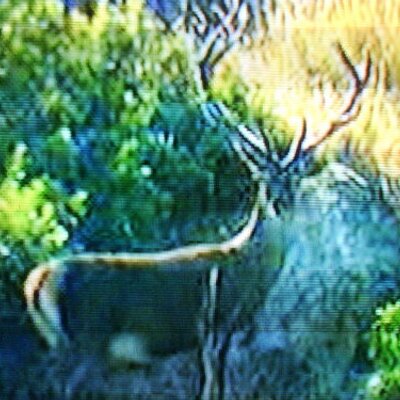 Profile Picture of David Malan (@davidmalan3) on Twitter