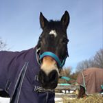 Profile Picture of Ruby Boles (@mylittlejumpingpony) on Instagram