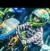 Profile Picture of Ivan Moey (@ivan.moey) on Facebook