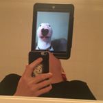 Tyler North - Instagram Profile Picture of Tyler North (@__northy) on Instagram