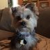 Profile Picture of Oliver Hebert (@oliver.hebert.39) on Facebook