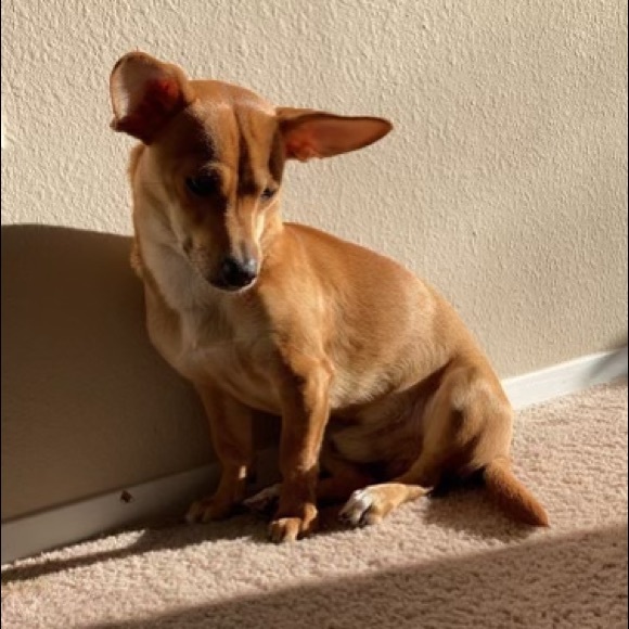 Profile Picture of Athena Katsaros (@athena_katsaros) on Poshmark