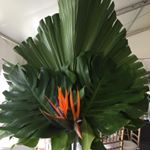 Profile Picture of Laurie Carney (@laurie.carney) on Instagram