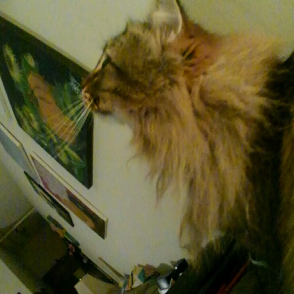 Profile Picture of Edwin Todd (@scorpiontoad66) on Poshmark