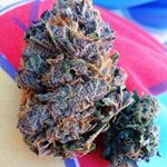 Profile Picture of Aaron Morneau (@aaron_bobaron) on Instagram