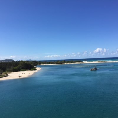 Profile Picture of Andy (@andrew_pavich) on Twitter