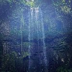 Profile Picture of Daniel Lyle (@dlyle32) on Instagram