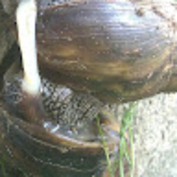 Austin geoffrey Linyama - Poshmark Profile Picture of Austin geoffrey Linyama (@linyamaa) on Poshmark