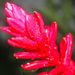 Profile Picture of Jaydon Reimer (@jaydonreimer) on Pinterest