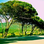 Nahnouha ♥ - Flickr Profile Picture of Nahnouha ♥ (@nahnouha ♥) on Flickr