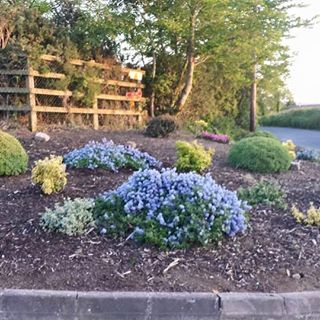 Finbarr Ryan (Capparoe Tidytowns ) - Facebook Profile Picture of Finbarr Ryan (Capparoe Tidytowns ) (@capparoe.tidytowns) on Facebook