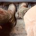 Profile Picture of Scott Cheatham (@scott.cheatham.566) on Facebook