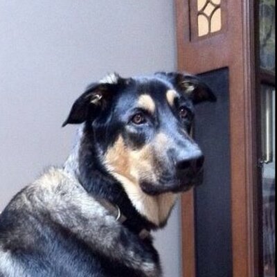 Profile Picture of David Courtemanche (@CourtDavecourt) on Twitter