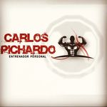 Profile Picture of carlos pichardo (@carpichardo) on Instagram