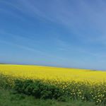 Profile Picture of sandra bäder (@casandra250480) on Instagram