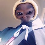 Profile Picture of Marco Og Gang (@marcus_lemons_3) on Instagram
