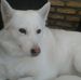 Profile Picture of Patrick Hoonings (@patrick.hoonings.54) on Facebook