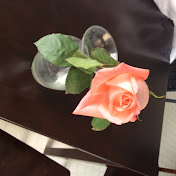 Profile Picture of Jasmine Li (@jasminekql) on Youtube