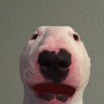 Profile Picture of Luke (@luke.gardner3) on Instagram