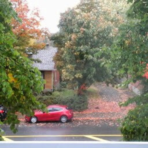 Profile Picture of Mohamed Bounouas (@mbounouas) on Poshmark