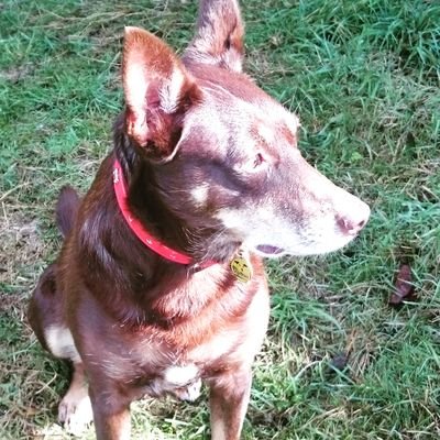 Profile Picture of Paula McDowell (@p_mcdowell) on Twitter
