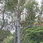 Profile Picture of Shane Cornwall (@shane.cornwall) on Instagram