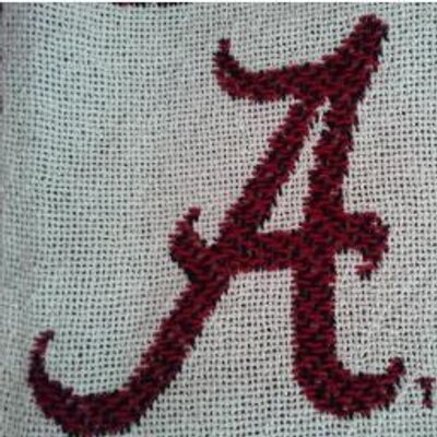 Profile Picture of Anna Baker (@bama_baker) on Twitter