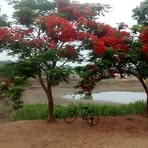 Profile Picture of Denas Treki (@denas.treki) on Facebook