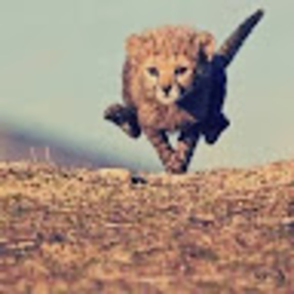 Profile Picture of Juan Collazo (@juancollazo704) on Poshmark