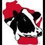 Profile Picture of Wisconsin Holstein Assoc. (@@WisconsinHolstein) on Tiktok